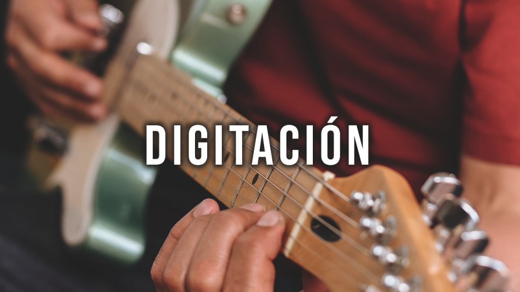Digitación (NUEVO)