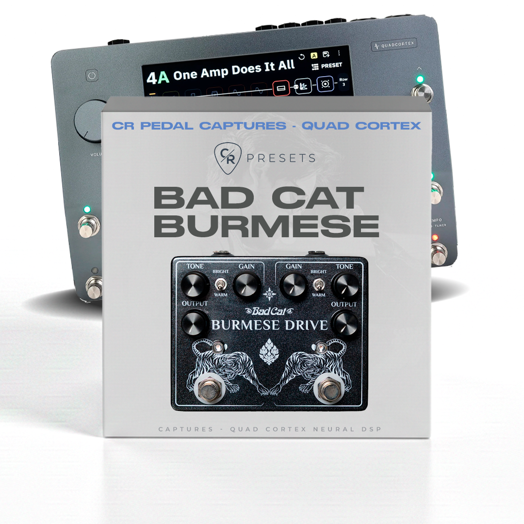 CR BAD CAT BURMESE - QUAD CORTEX