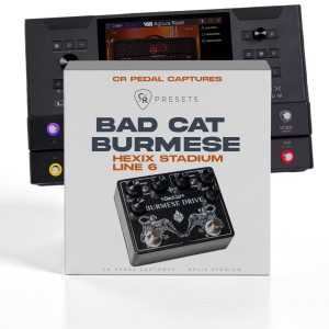 CR BAD CAT BURMESE - HELIX STADIUM