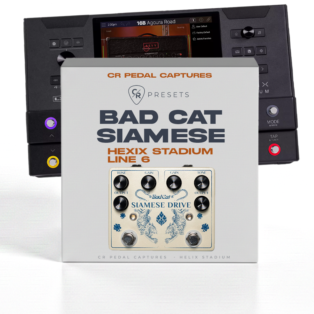 CR BAD CAT SIAMESE - HELIX STADIUM